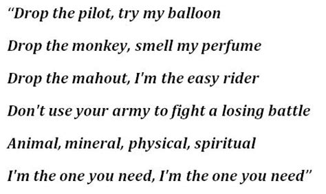 "Drop the Pilot" by Joan Armatrading - Song Meanings and Facts