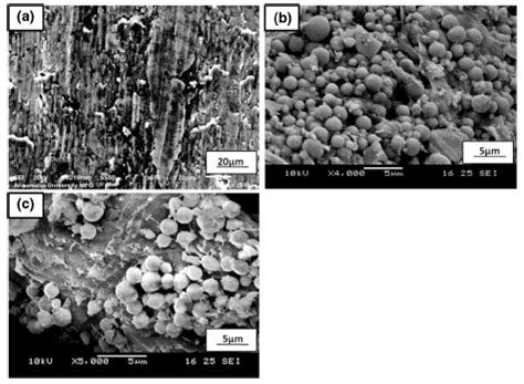 Fibers | Free Full-Text | Agricultural Waste as a Reinforcement Particulate for Aluminum Metal ...