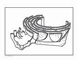 Endoplasmic Reticulum Organelle Diagram Coloring Page And Reading sketch template