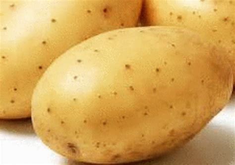 Potato GIF - Potato - Discover & Share GIFs