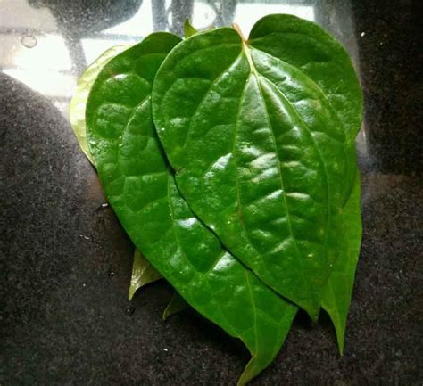 BETEL LEAVES RASAM RECIPE / VETHALAI RASAM - BETEL LEAVES RECIPES - Cook with Smile