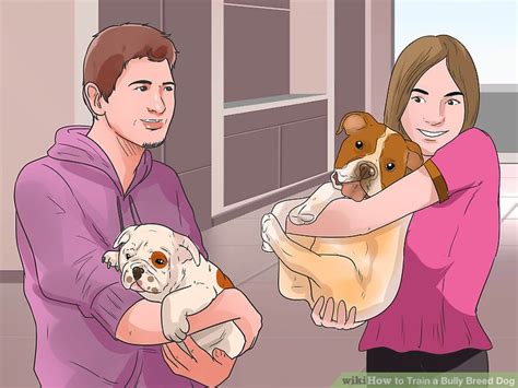 How to Train a Bully Breed Dog (with Pictures) - wikiHow