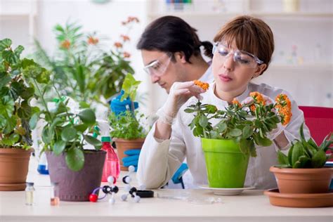 Two Young Botanist Working in the Lab Stock Photo - Image of plant, flower: 155681330