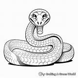 Snake Coloring Pages  Free & Printable sketch template