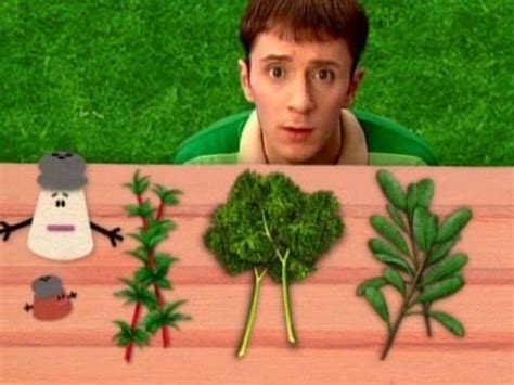 Blue's Clues - Nature - YouTube