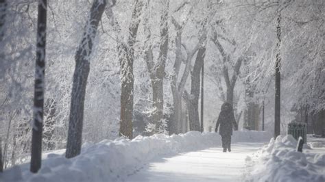 16 cold weather records set in Saskatchewan | CBC News