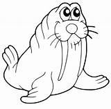 Easy Walrus Coloring Page  Free Printable Pages For Kids sketch template