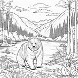 Bear For Adults Coloring Pages  Free & Printable sketch template