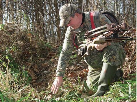 7 Tips You Should Know About Deer Hunting with a Crossbow