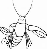 Crayfish Coloring Sheet Pages Sketch Page sketch template