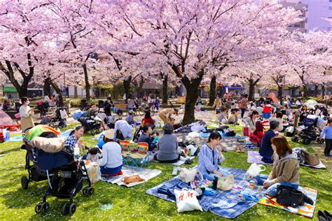 This Week(End): Tokyo Area Events For March 30-31 - Savvy Tokyo