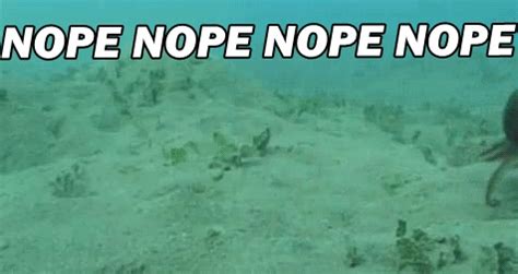 Nope Nope Nope Octopus - Reaction GIFs