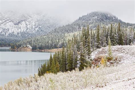 Kananaskis Country Winter Snow Canadian Rockies Photograph by Binh Ly