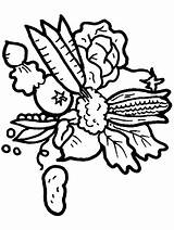Vegetable Coloring Pages For Childrens Printable Free sketch template
