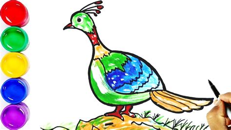 Drawing National Bird of Nepal || डाँफे || Himalayan Monal || Lophophorus || Danphe - YouTube