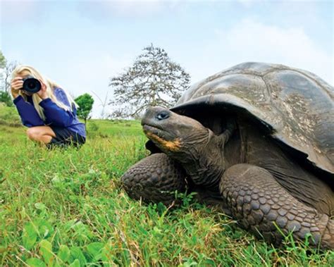 National Geographic Photography Books | Expertly Chosen Gifts