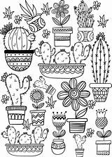 Beautiful Cactus Coloring Pages PDF  Coloringfoldercom sketch template