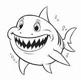 Basking Squalo Elefante Sharks Tiburones Requin Printable Jaws Search  sketch template