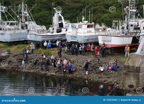 Sand Point Alaska Pier editorial photo. Image of salmon - 125570451