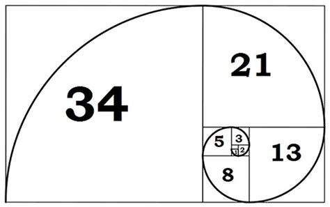 What do dogs, water and the Fibonacci sequence have in common? — The Conscious Club