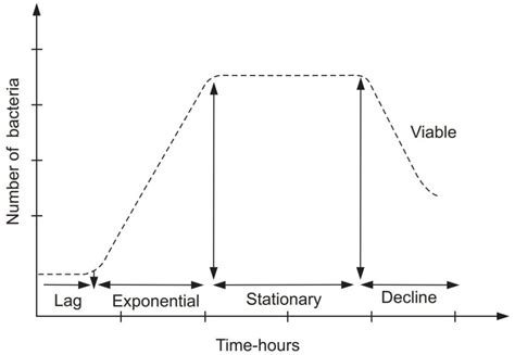 Bacterial Growth Curve - Solution Parmacy