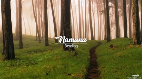 नमना | Namana Name Meaning in Hindi & English, Rashi, Nakshatra, Origin ...