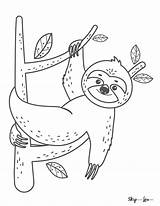 Free Sloth Coloring Pages  Kitty coloring Cute sketch template