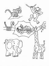 Wild Animal Coloring Pages  Best For Kids sketch template