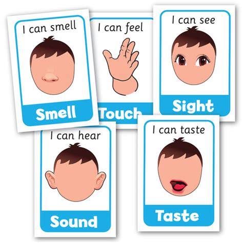 Five Senses Posters – Smart Kids NZ