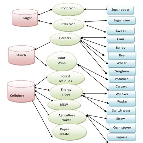 (PDF) Modeling of Ethanol Production from Molasses: A Review