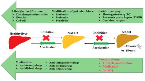 IJMS | Free Full-Text | Current Options and Future Directions for NAFLD and NASH Treatment