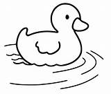 Rubber Duck Coloring Pages sketch template