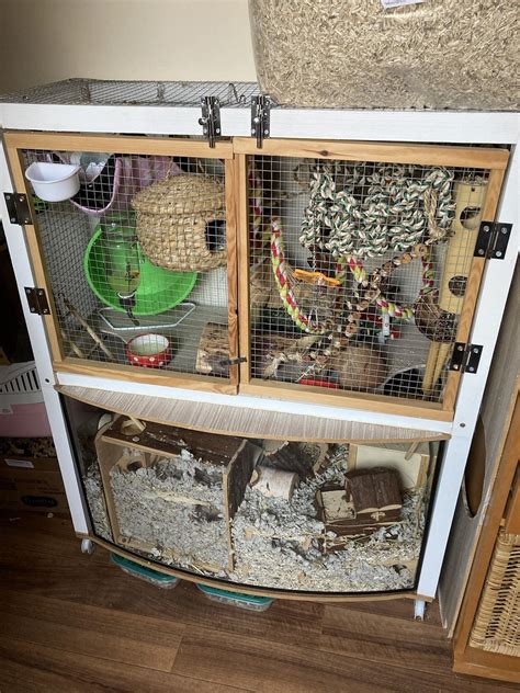 Information on DIY-ing a Mouse Enclosure 🐭 DIY Mouse Cages 🐭 : r/PetMice