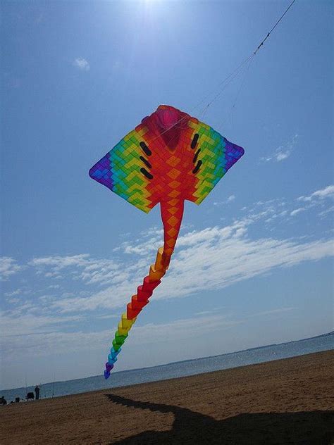 Large Kites - You Mean Big Or Positively Gigantic?