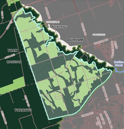 Who are the GTA developers set to benefit from Ford government's Greenbelt land swap? | CBC News