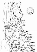 Wolf howling Moon coloring Pages Download And Print For Free sketch template