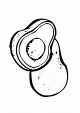 Avocado Free Printable coloring Page  Download Print Or Color Online sketch template