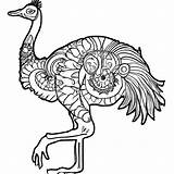 Coloring Black And White Page Of An Emu In Aboriginal · Creative Fabrica sketch template