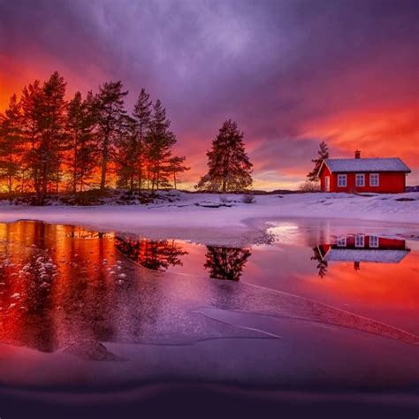 Beautiful winter evening with a cozy cabin in the woods, Scandinavia ...