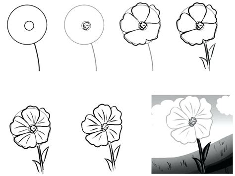 Step By Step Drawing Realistic Flowers at PaintingValley.com | Explore ...