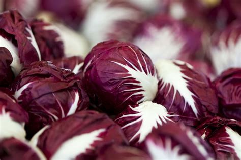 7 Delicious Types of Chicories