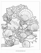 Seashells Coloring Page Instant Download  Etsy Pages Sea sketch template