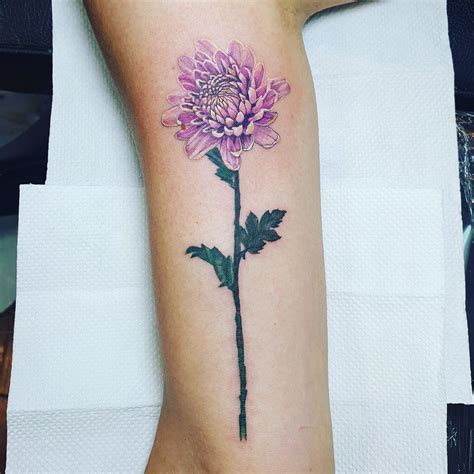 Chrysanthemum watercolor tattoo | Birth flower tattoos, Chrysanthemum tattoo, Watercolor ...