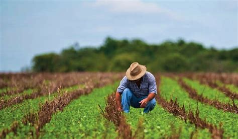 Mexico To Build Precision Agriculture Infrastructure