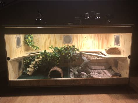 Pin by Elizabeth ibarra on rex | Bearded dragon terrarium, Bearded ...