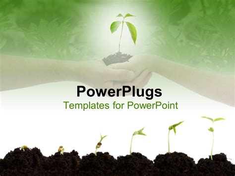 Plant Powerpoint Template