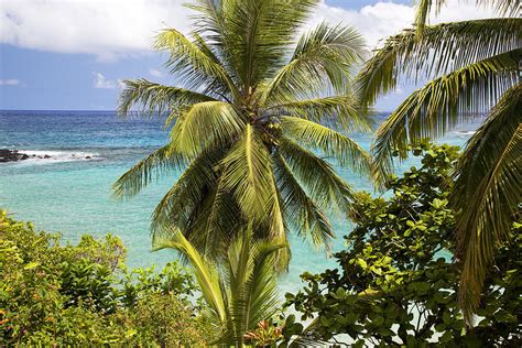 Hamoa Beach Hawaii Photograph by Jenna Szerlag - Fine Art America