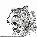 Tiger Head Tribal Zentangle Style Coloring Pages  Drawings sketch template