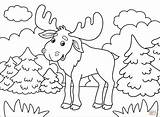 Moose coloring page  Free Printable Coloring Pages sketch template