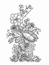 Botanical Coloring Pages  Coloring Nation sketch template